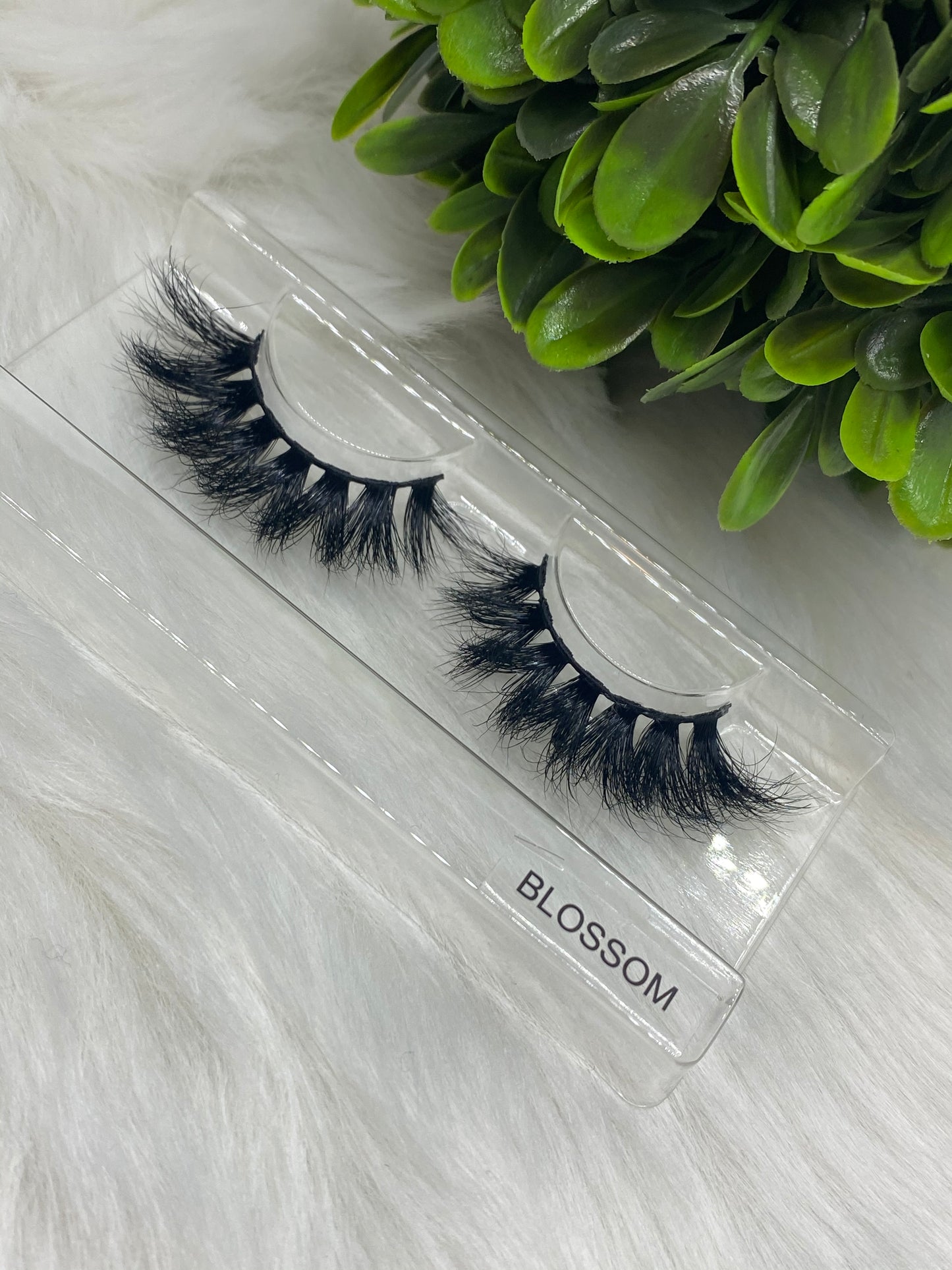 Blossom
