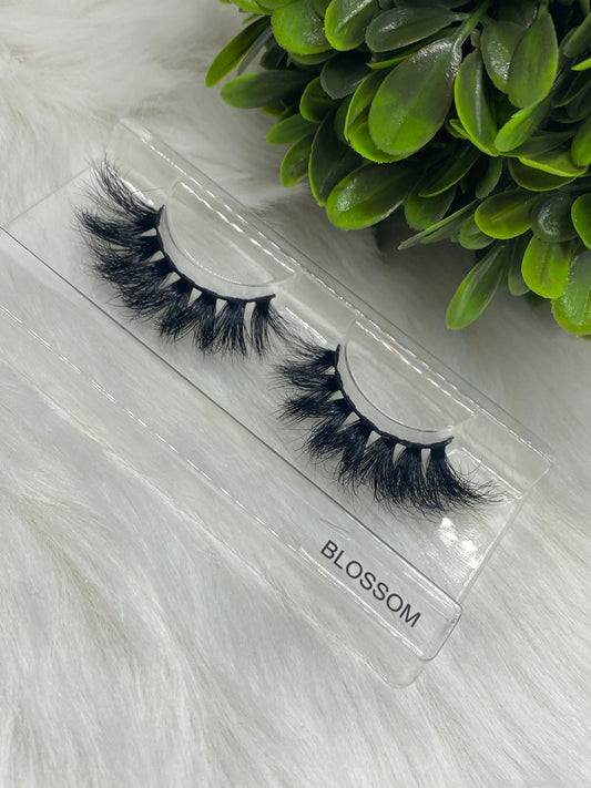 Blossom